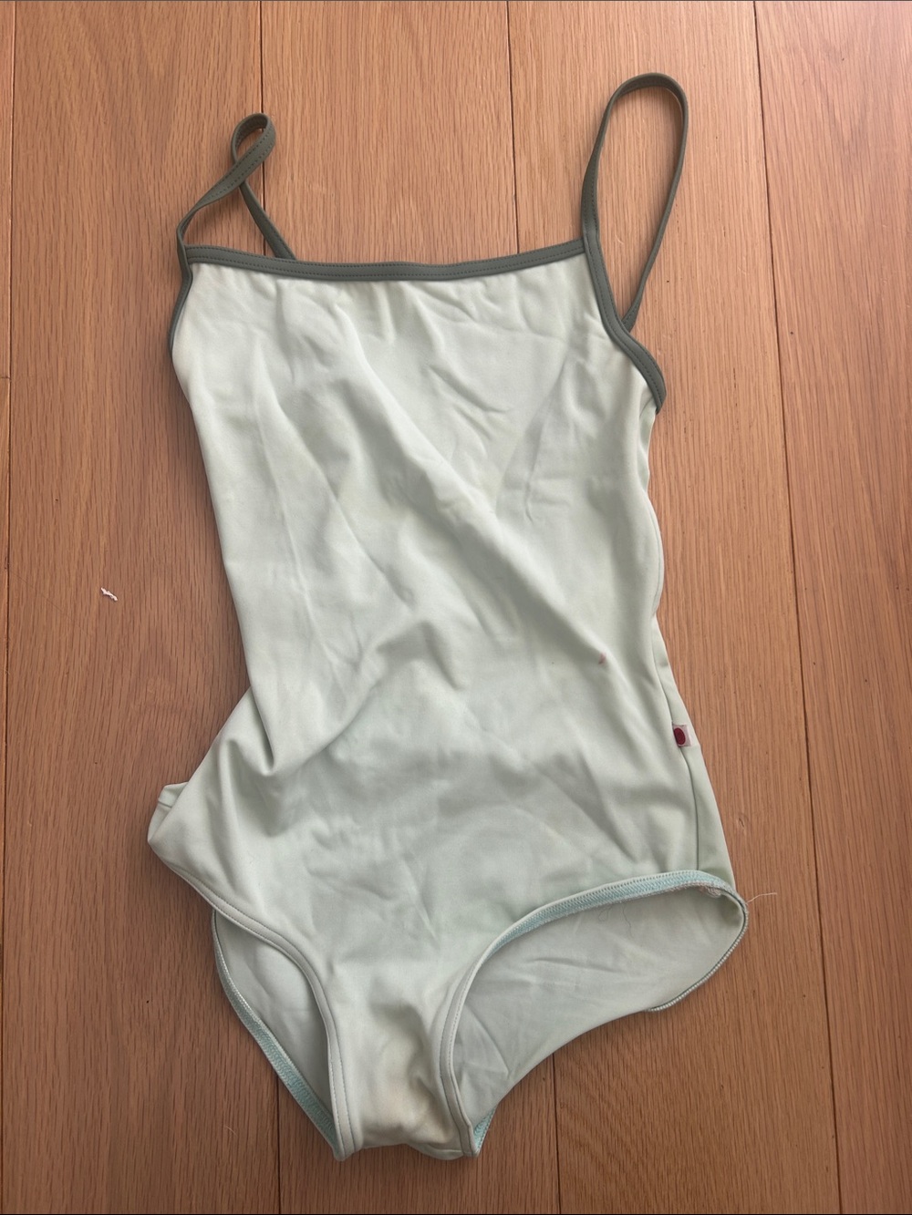 Yumiko mint green camisole leotard